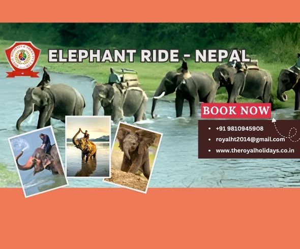 Trishuli River Rafting (4)