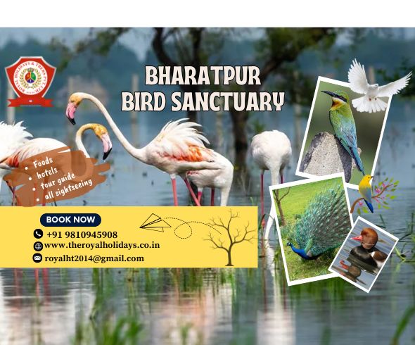 123 Anywhere St., Any City (1)