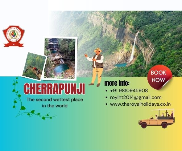 Merry christmas (11)